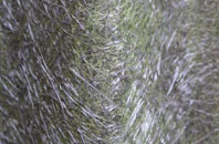 Hattingley fibreglass roof work